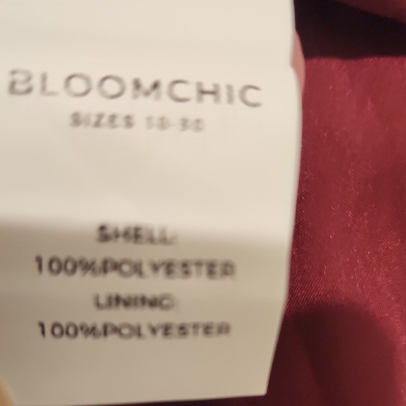 NEW Burgundy Floral Print Ruffle Tiered Flutter Sleeve Mesh Blouse 2x - Picture 6 of 6